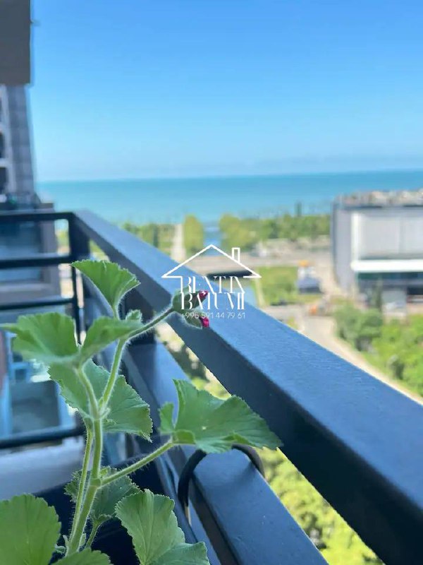 Просторная квартира с 1 спальней у моря photo 1 of 8
