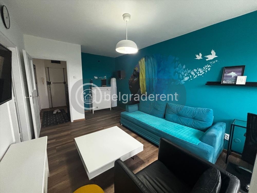 Two-Room Apartment in Novi Beograd photo 1 of 6
