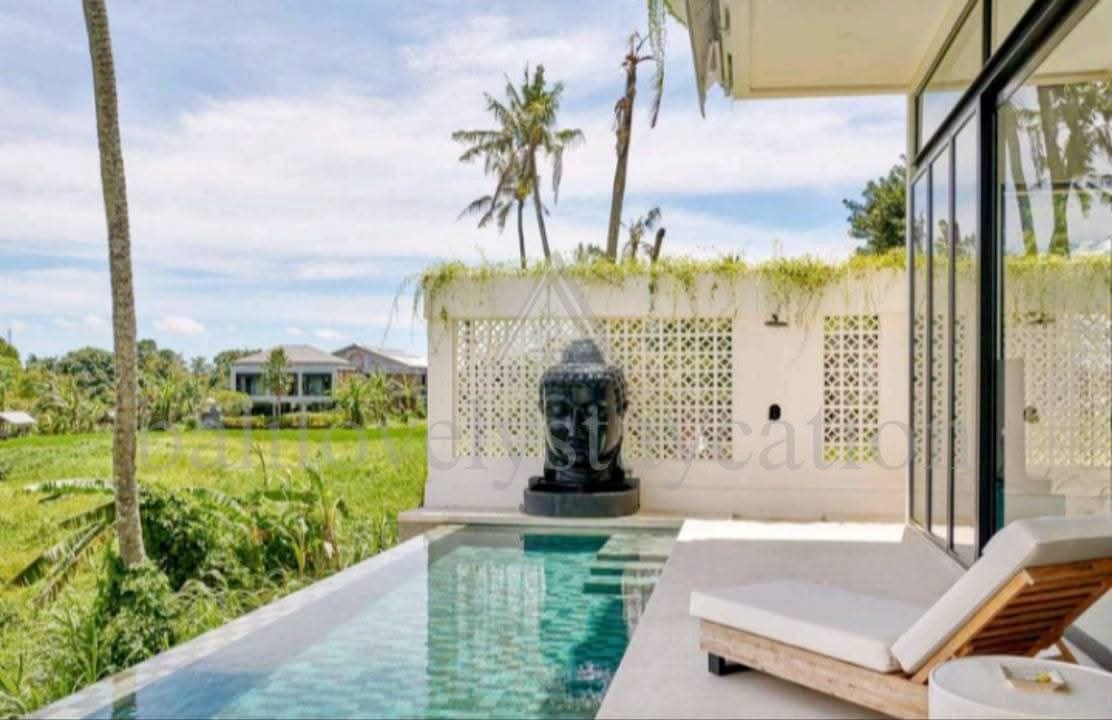 3-Bedroom Villa in Canggu photo 2 of 8