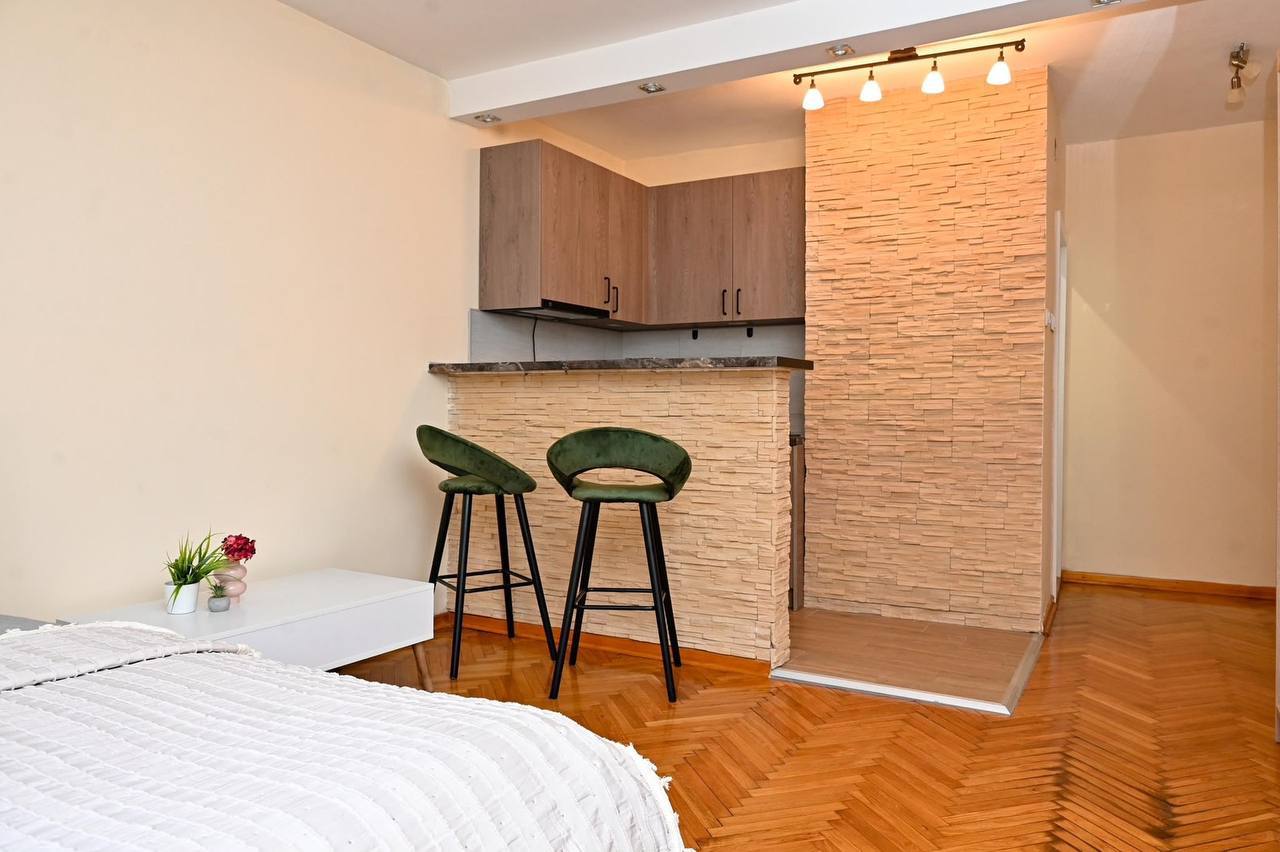 Studio Apartment for Rent in Vračar photo 2 of 8