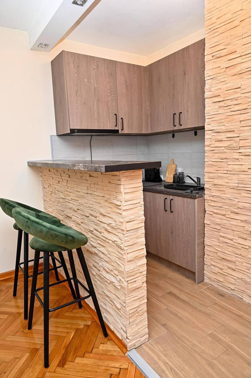 Studio Apartment for Rent in Vračar photo 4 of 8