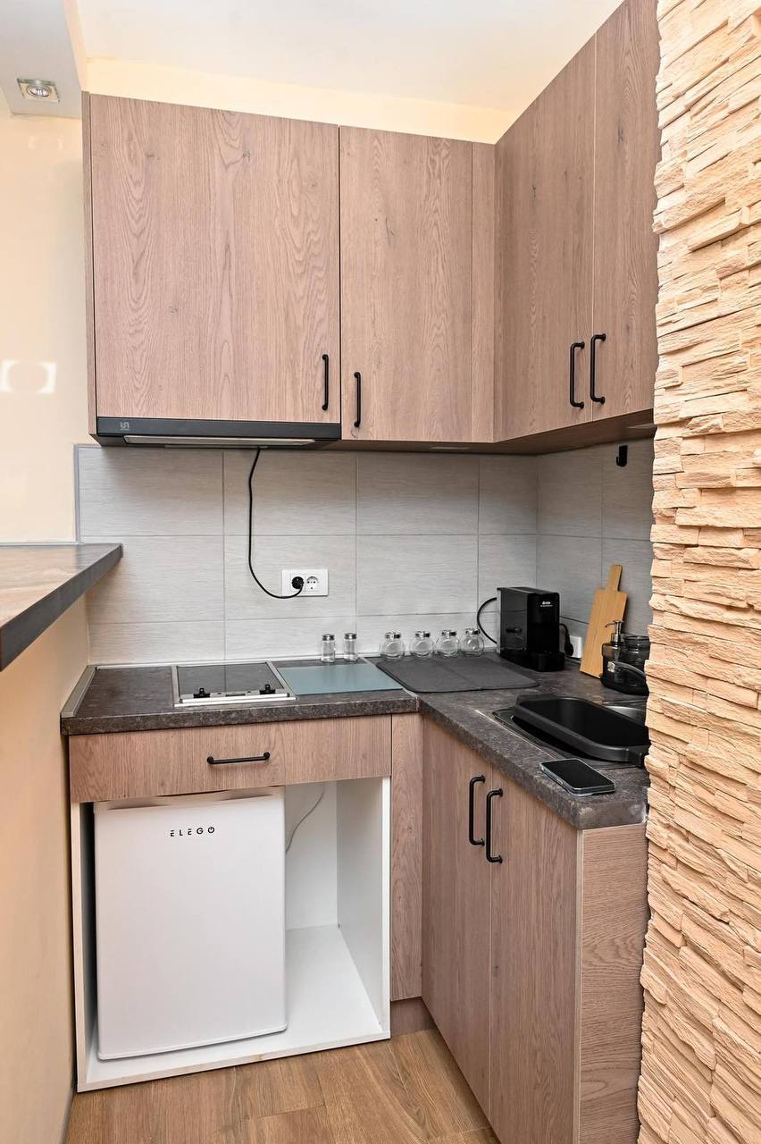Studio Apartment for Rent in Vračar photo 5 of 8