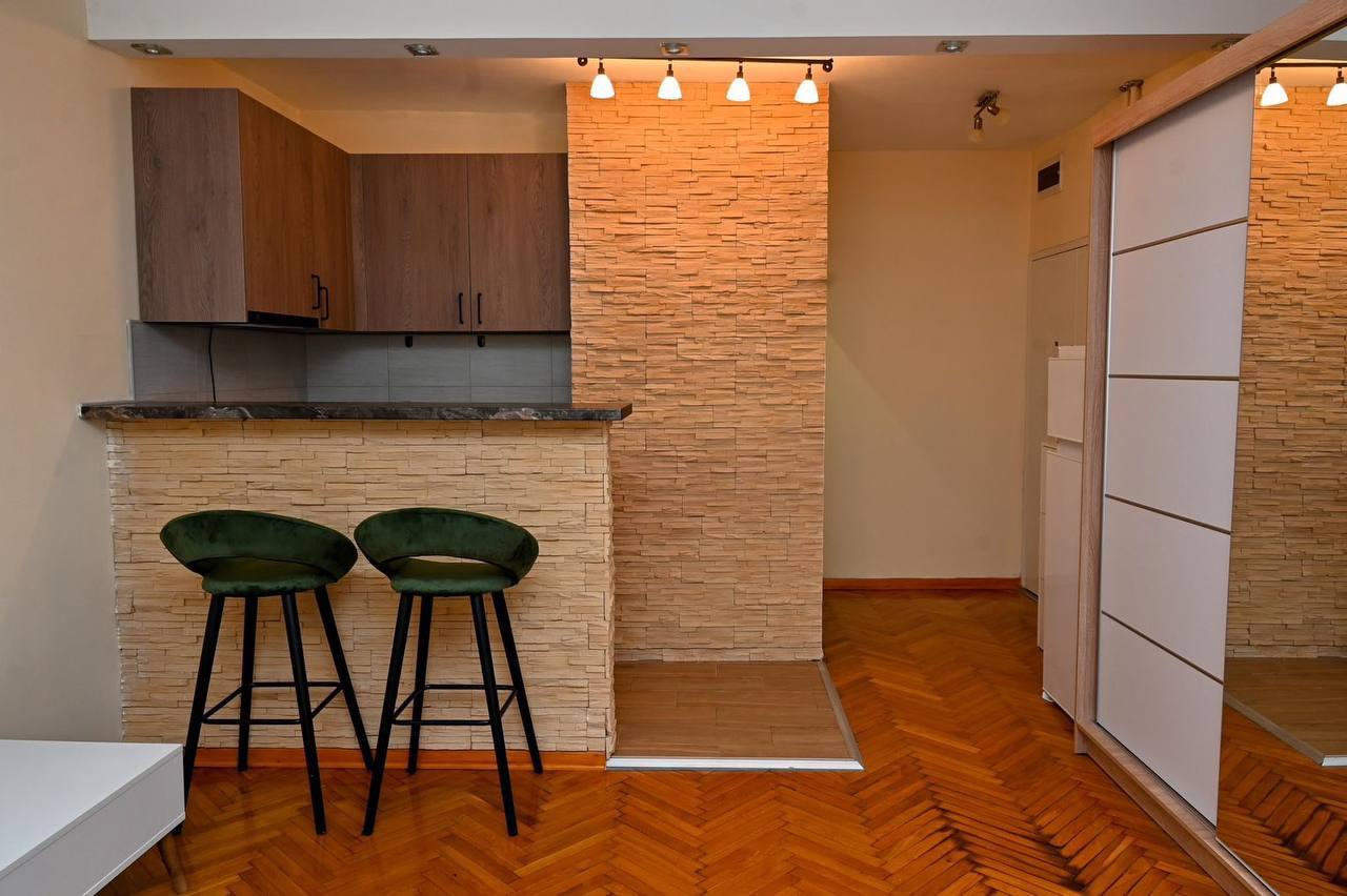 Studio Apartment for Rent in Vračar photo 7 of 8