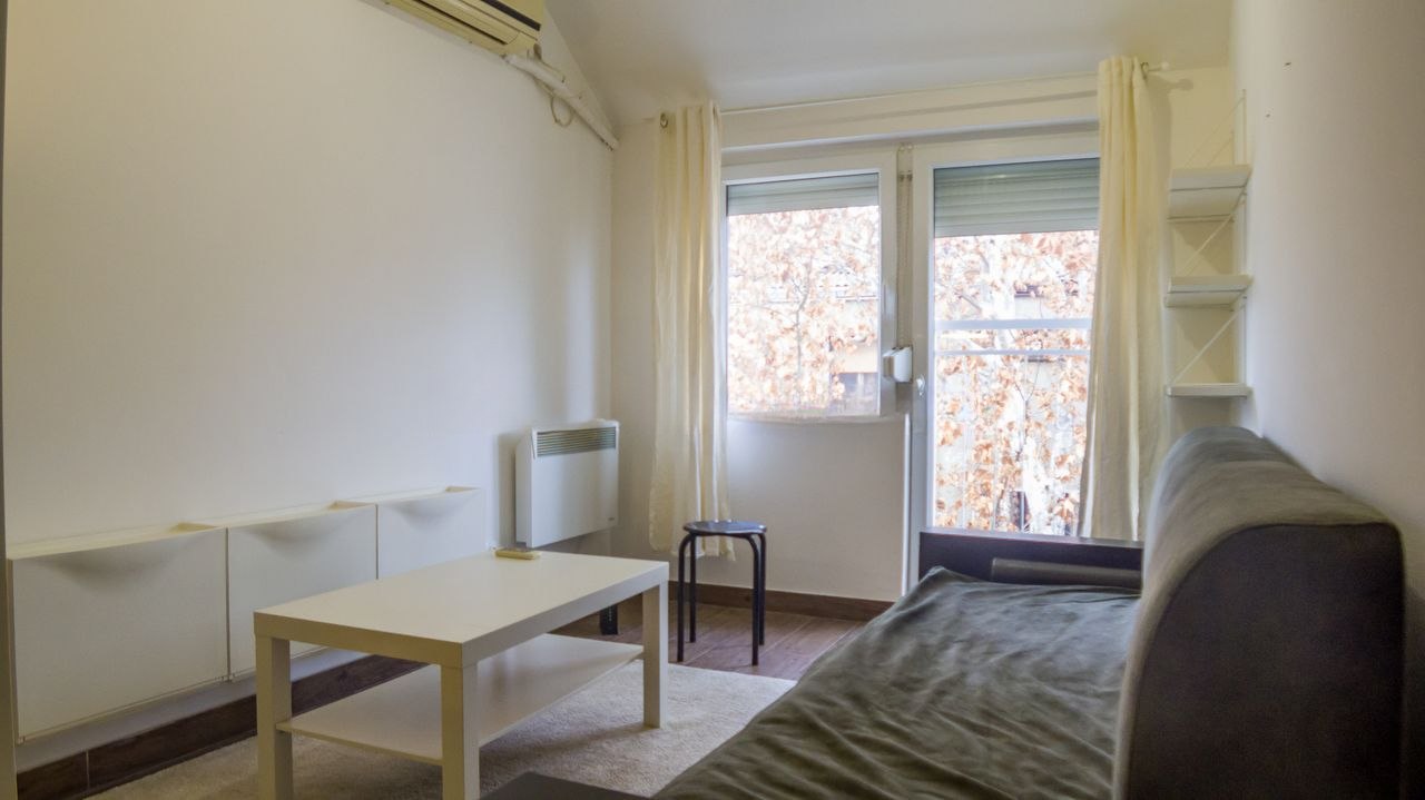 One-Room Apartment for Rent in Palilula photo 1 of 8
