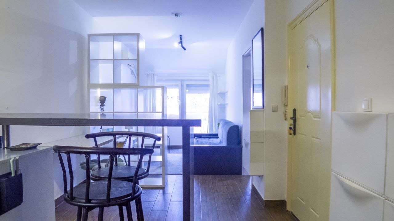 One-Room Apartment for Rent in Palilula photo 2 of 8
