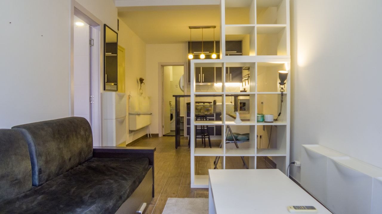 One-Room Apartment for Rent in Palilula photo 3 of 8