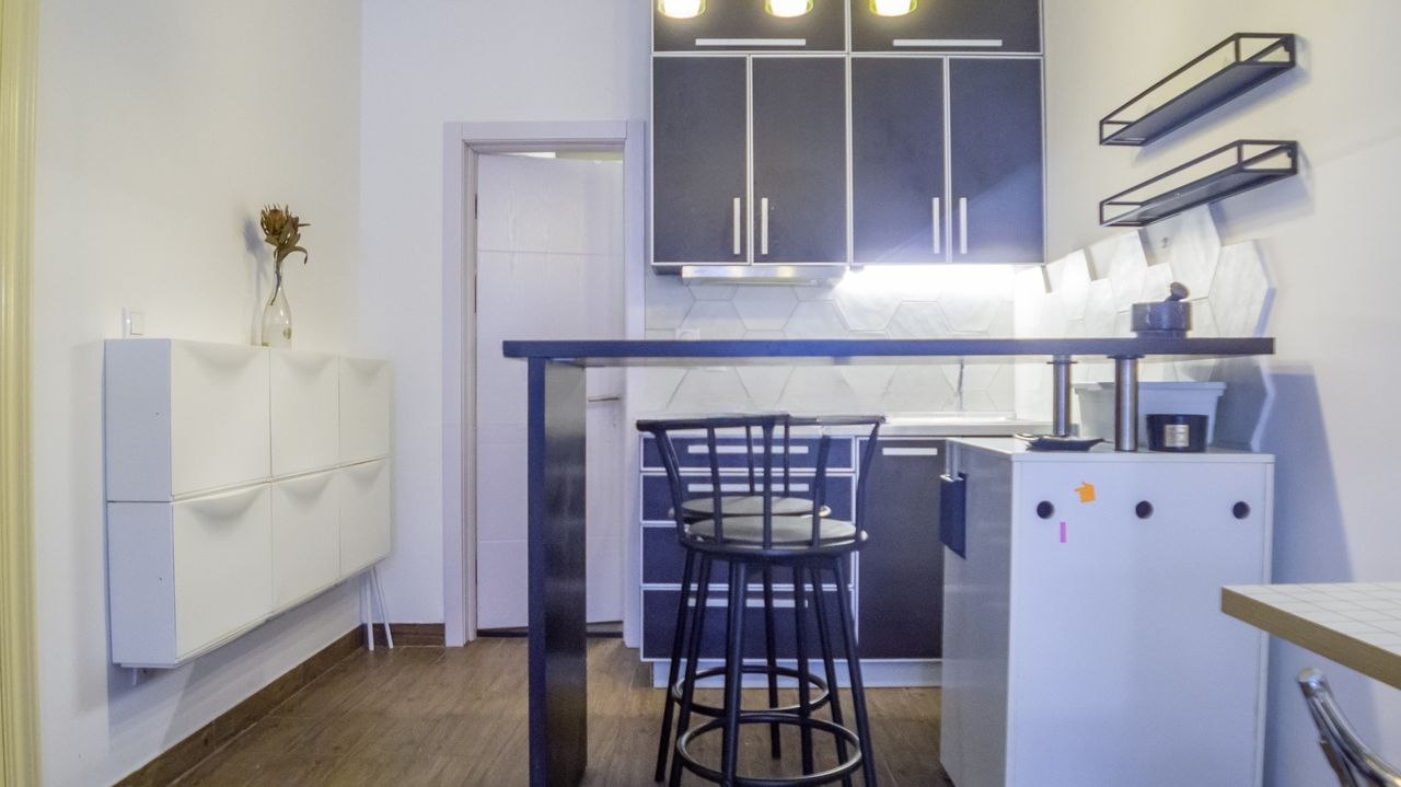 One-Room Apartment for Rent in Palilula photo 5 of 8
