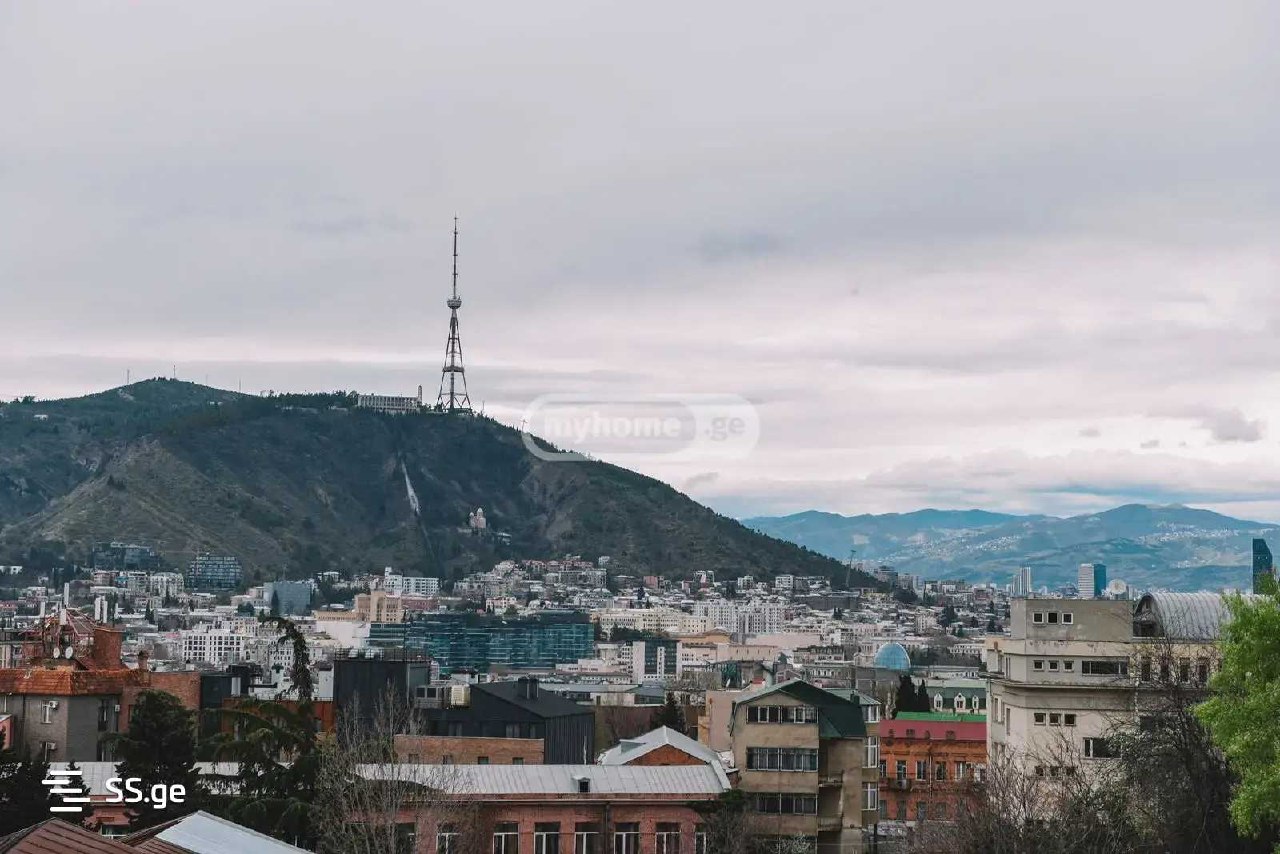 2-Room Apartment for Rent in Avlabari photo 1 of 8