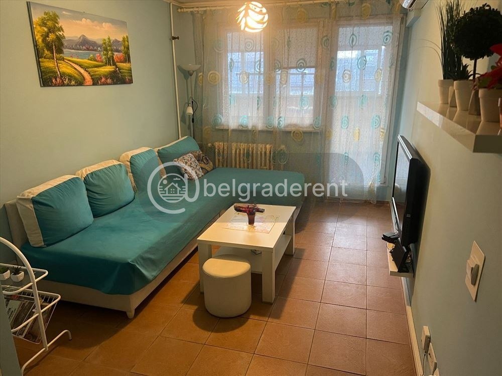 Three-Room Apartment in Novi Beograd photo 1 of 4