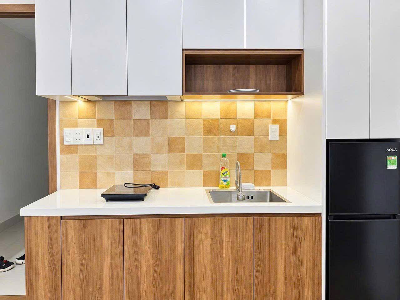Furnished 1-Bedroom Apartment in Son Tra photo 2 of 7
