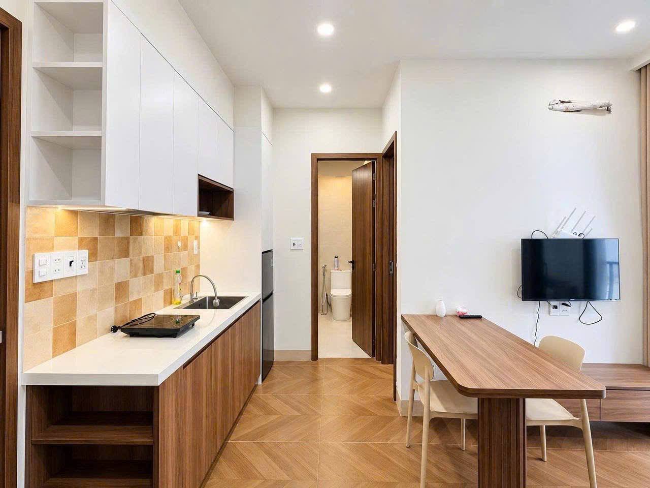 Furnished 1-Bedroom Apartment in Son Tra photo 3 of 7