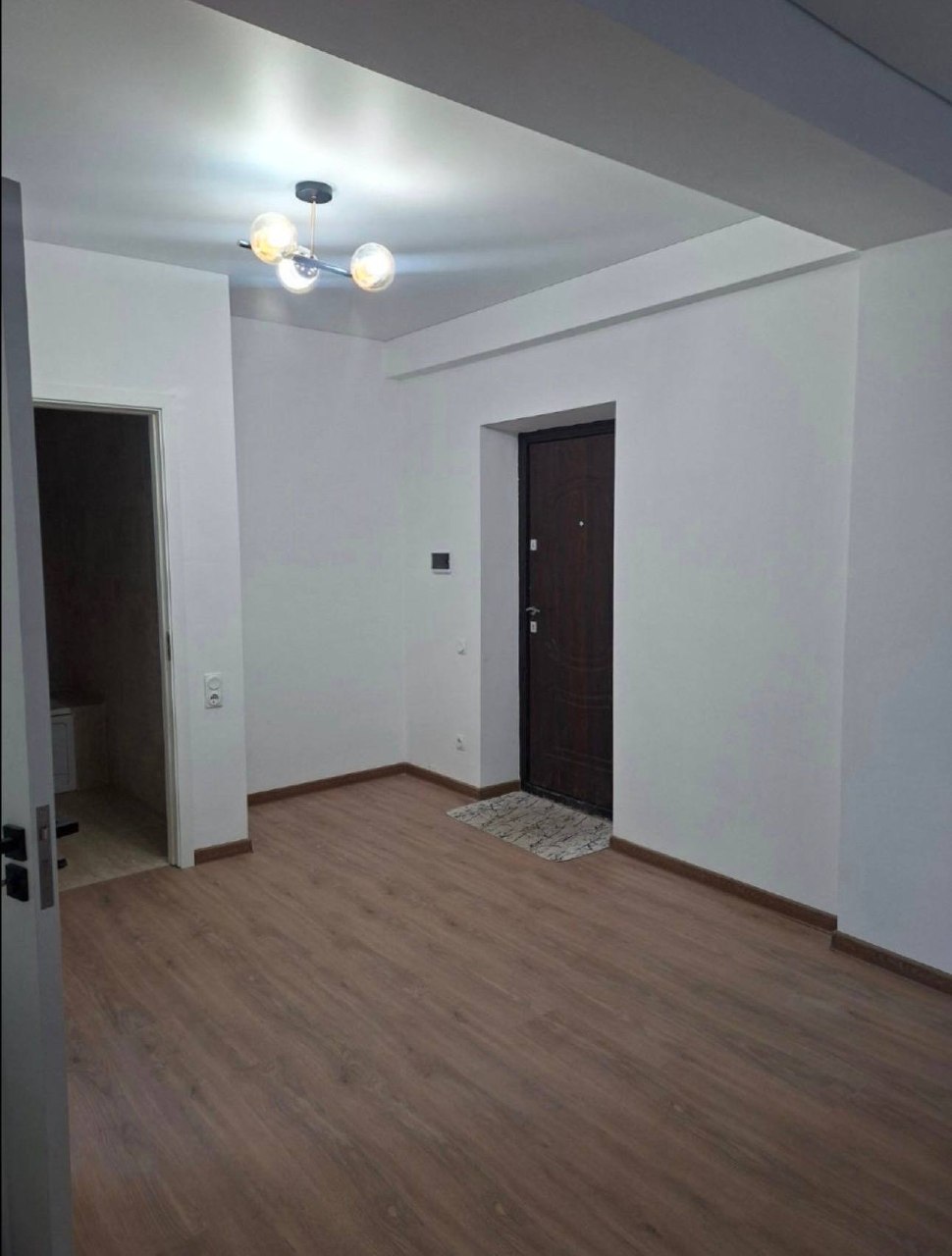 Two-Room Apartment in Botanica photo 6 of 8