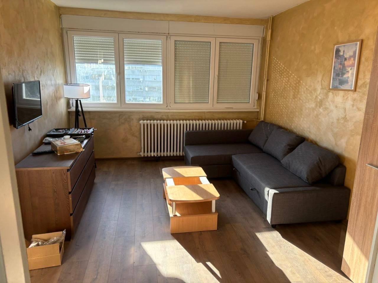 Трёхкомнатная квартира в Новом Белграде photo 4 of 8