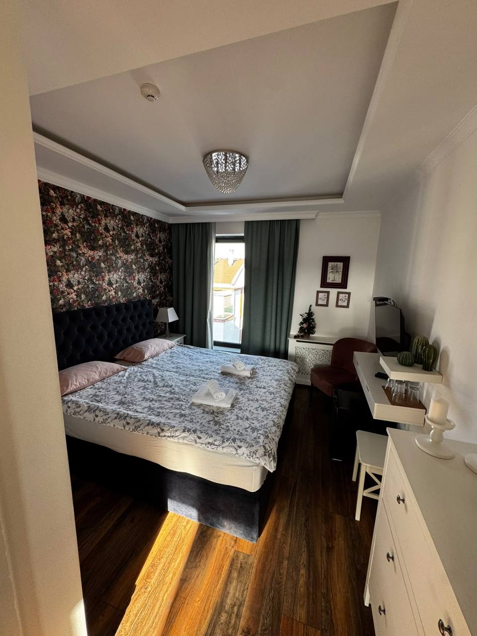 Studio Apartment in Zemun photo 1 of 3