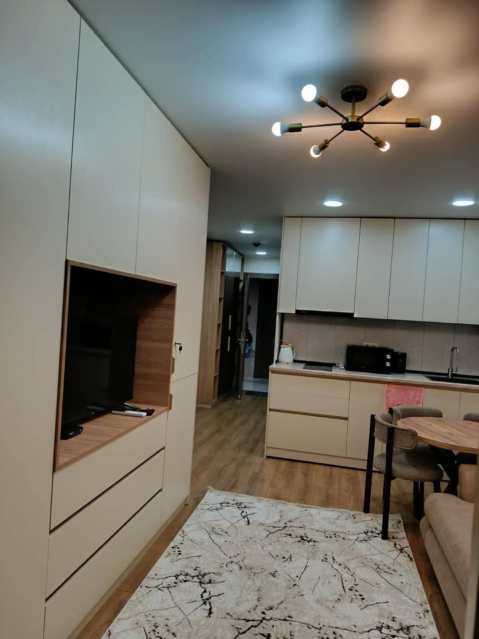 Zoned Studio for Rent on Nizharadze Street photo 1 of 6