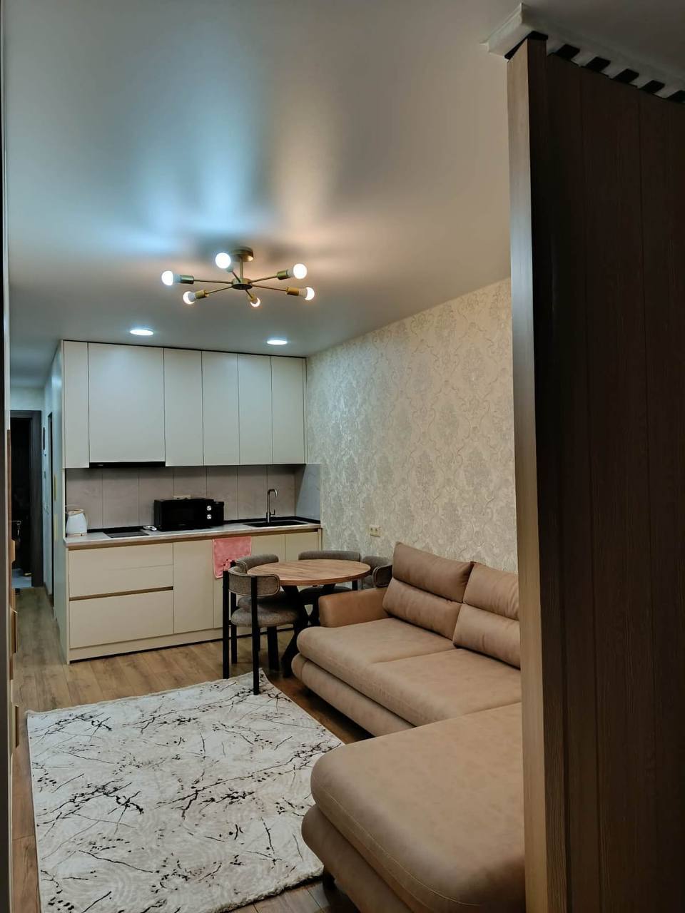 Zoned Studio for Rent on Nizharadze Street photo 2 of 6