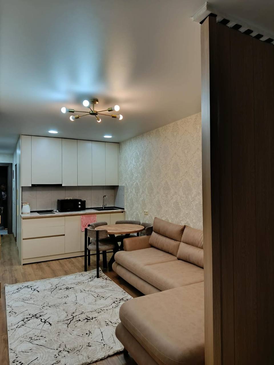 Zoned Studio for Rent on Nizharadze Street photo 6 of 6