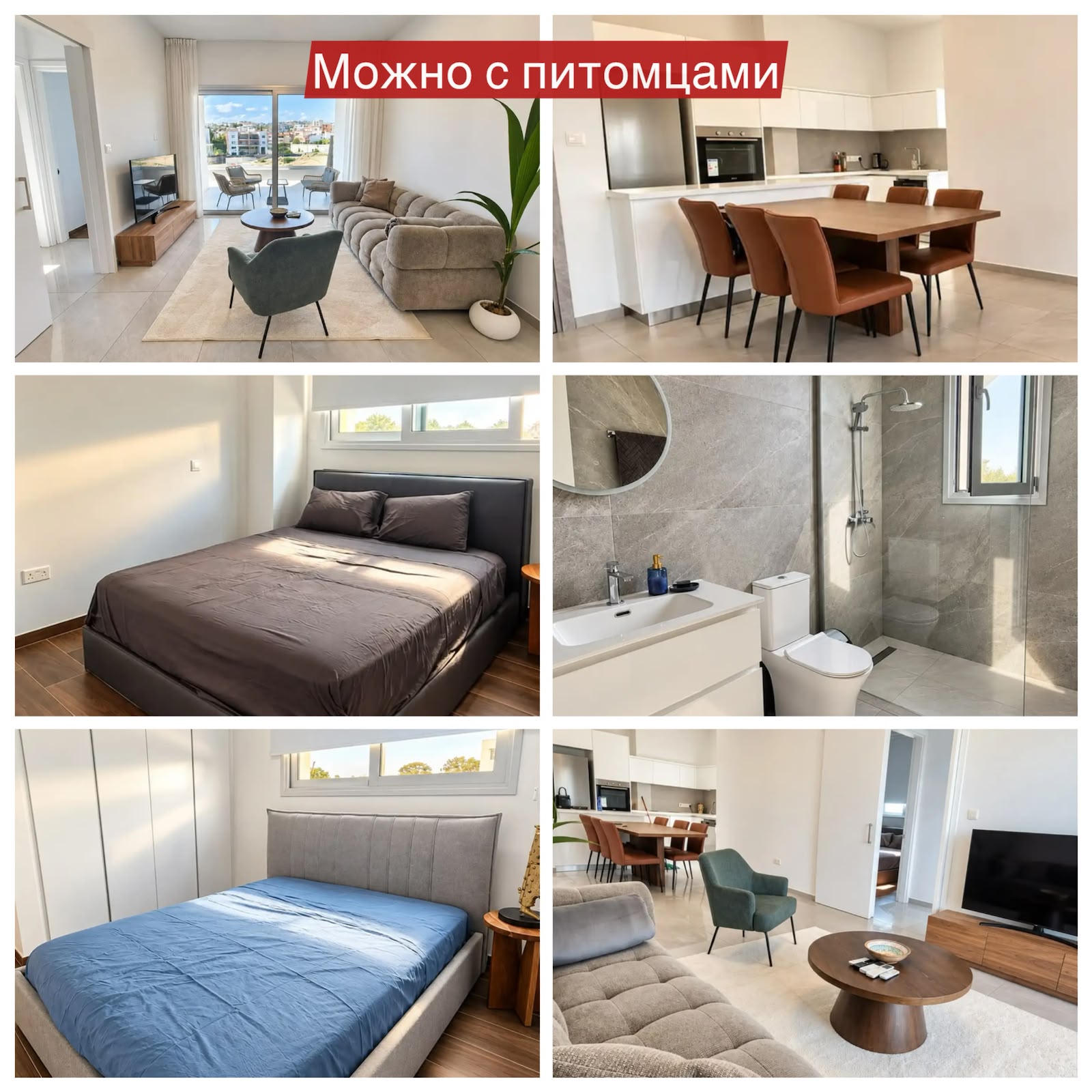 Furnished 2-Bedroom Apartment in Agios Athanasios photo 1 of 1