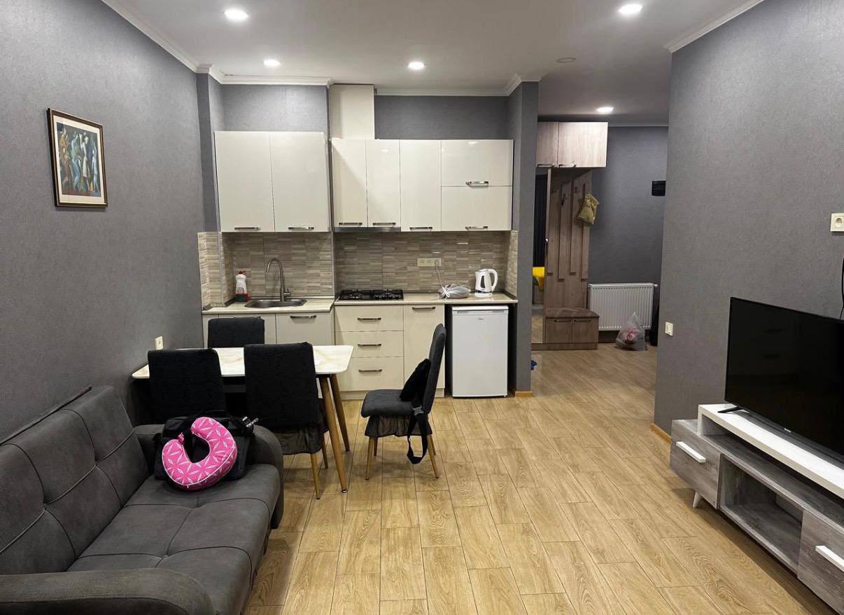 1+1 Apartment for Rent in Batumi photo 3 of 6