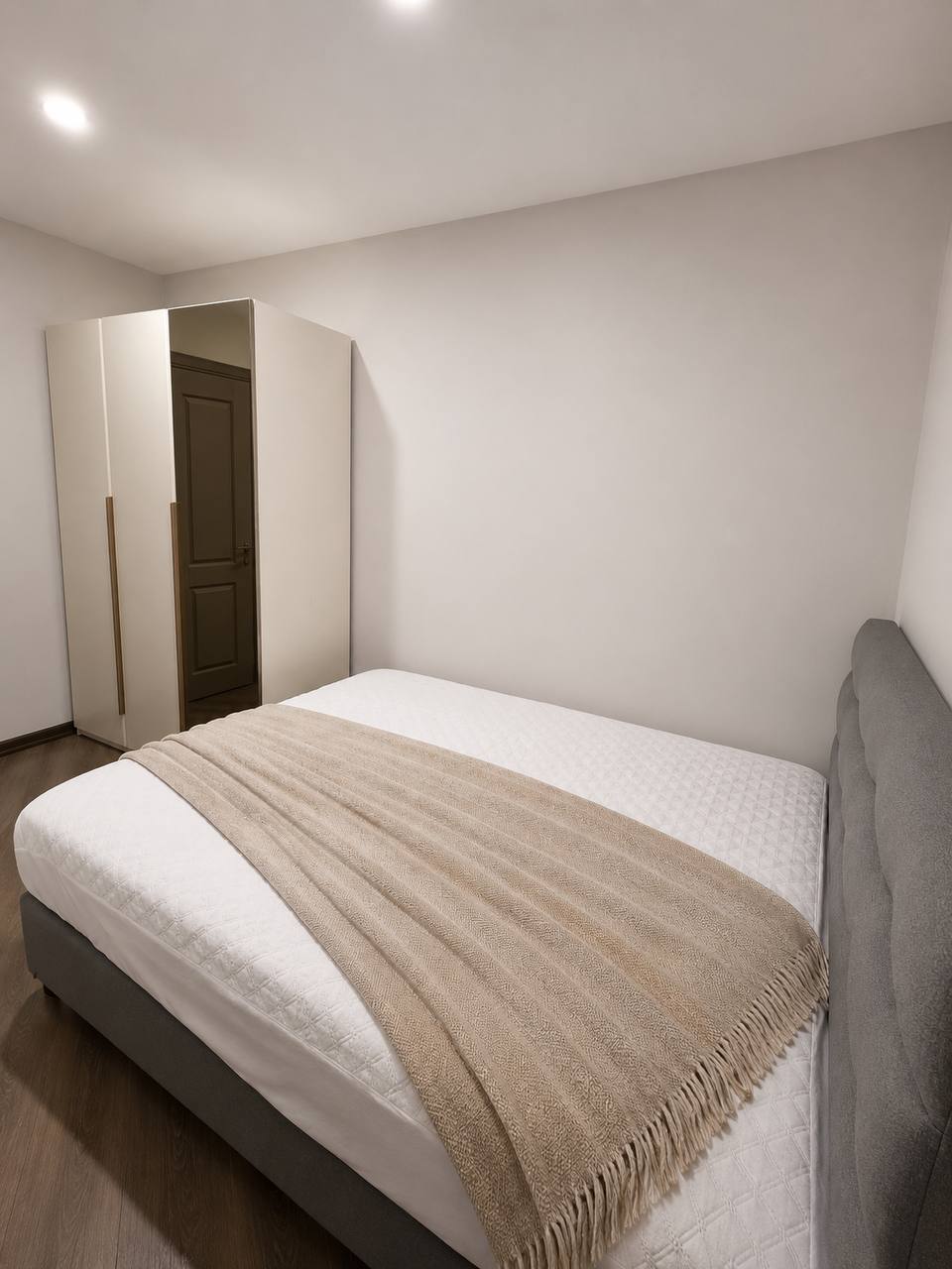 1+1 Apartment for Rent in Bagrationi photo 4 of 5
