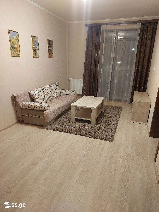 Furnished 1-Bedroom Apartment in Chugureti photo 1 of 5
