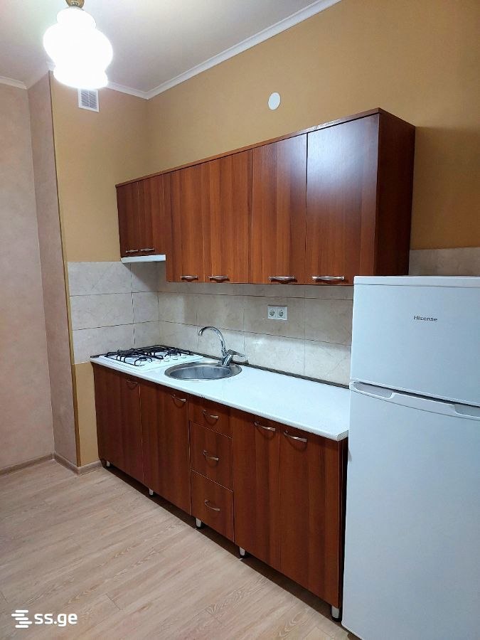 Furnished 1-Bedroom Apartment in Chugureti photo 2 of 5