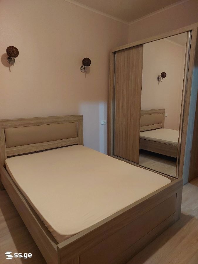 Furnished 1-Bedroom Apartment in Chugureti photo 3 of 5