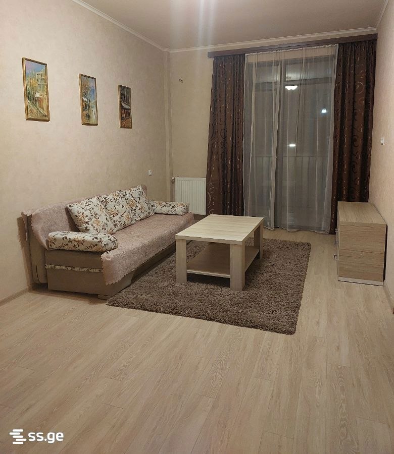 Furnished 1-Bedroom Apartment in Chugureti photo 4 of 5