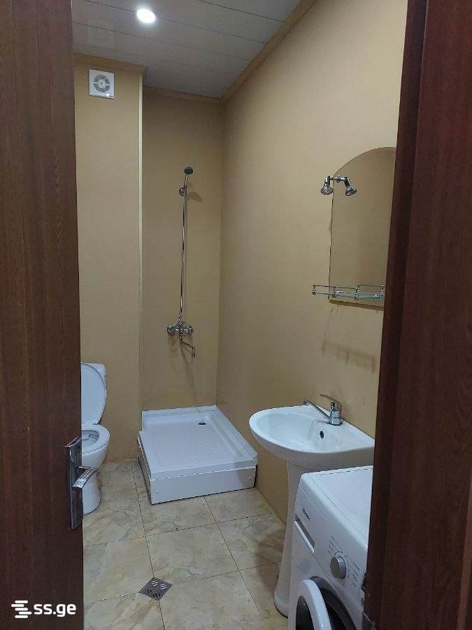 Furnished 1-Bedroom Apartment in Chugureti photo 5 of 5
