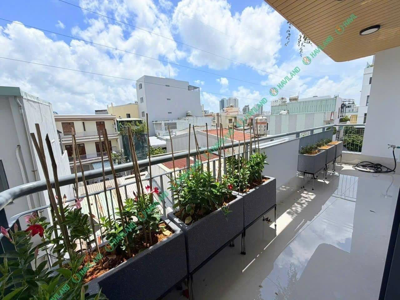 2-комнатная квартира в аренду в Сон Тра photo 4 of 8