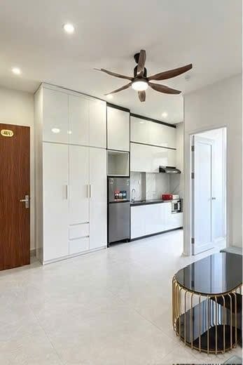 Pet-Friendly 1-Bedroom Apartment in Son Tra photo 4 of 8
