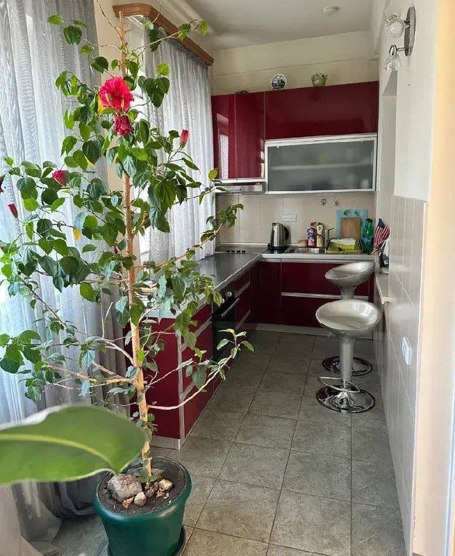 Furnished 2-Room Apartment in Davtashen photo 4 of 8