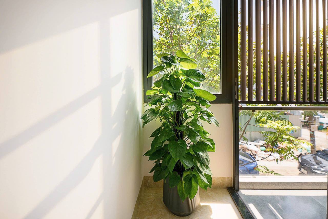1-Bedroom Apartment in Son Tra photo 1 of 8