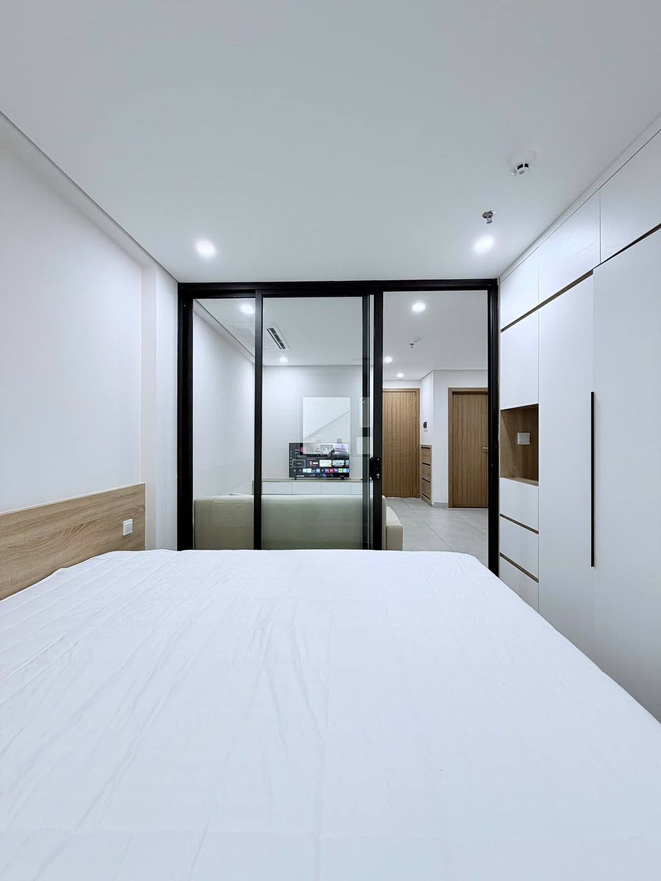 1-Bedroom Apartment in Son Tra photo 4 of 7
