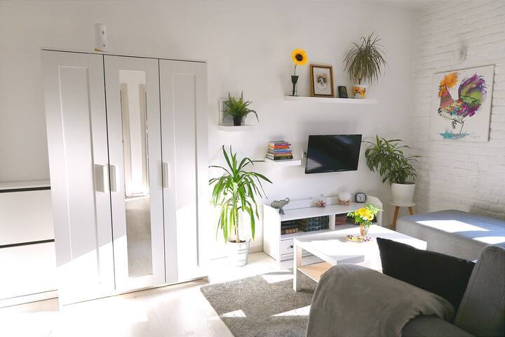 1-Bedroom Apartment on Đorđa Jovanovića Street photo 1 of 5