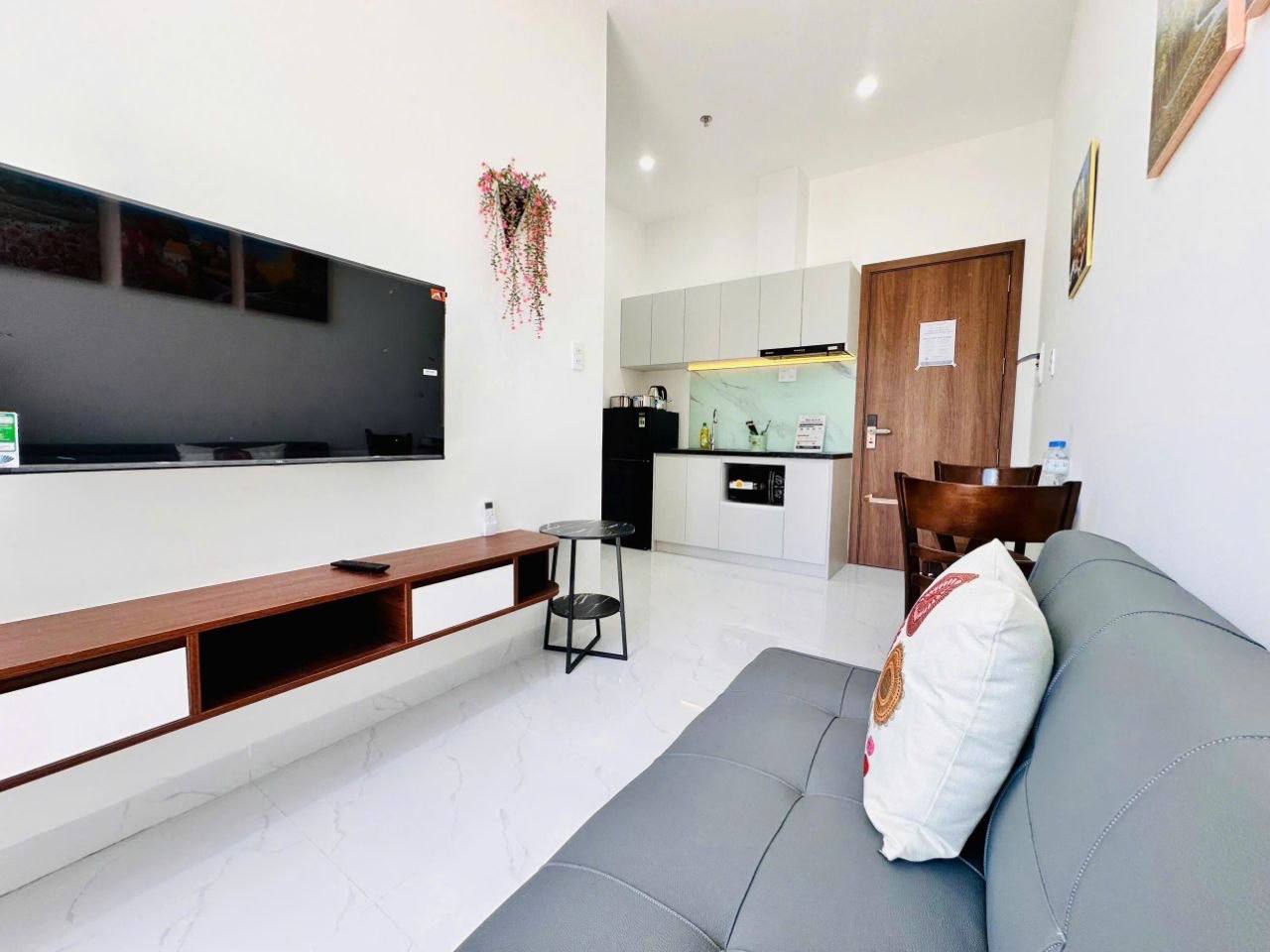 1-Bedroom Furnished Apartment in Son Tra photo 1 of 8