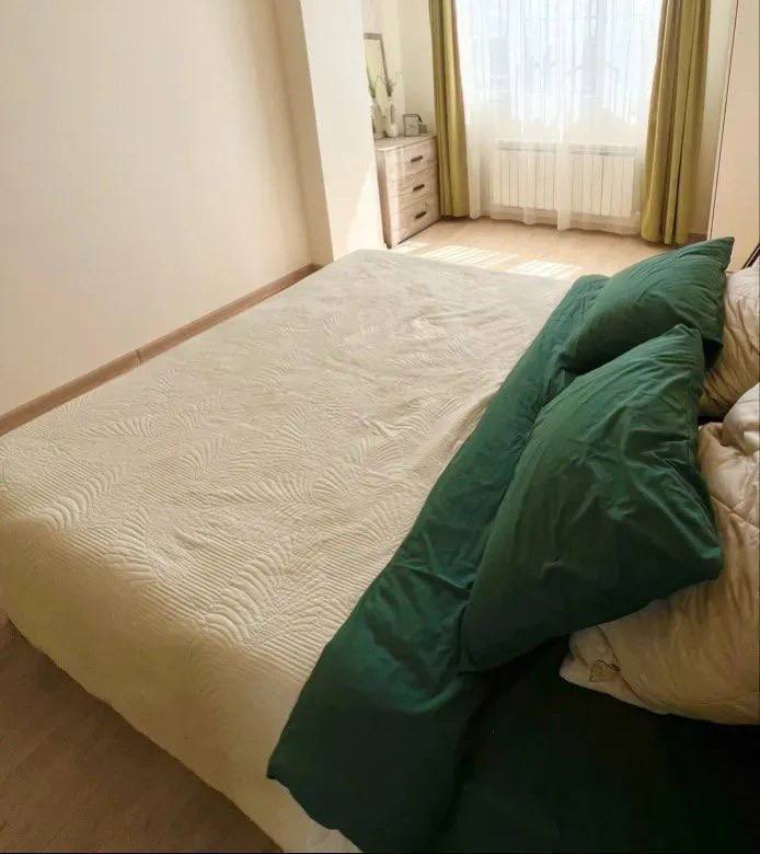 Furnished 2-Room Apartment in Arabkir photo 4 of 8