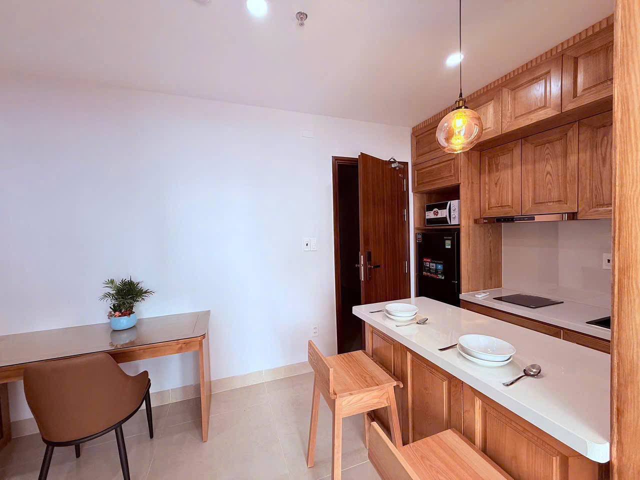 1-Bedroom Apartment in Son Tra photo 4 of 8