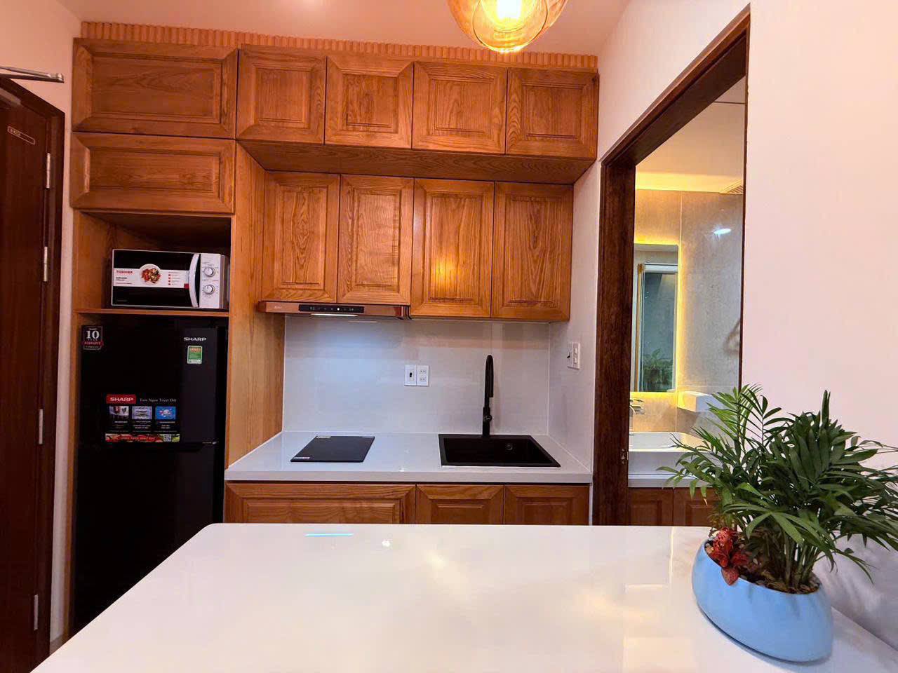 1-Bedroom Apartment in Son Tra photo 6 of 8