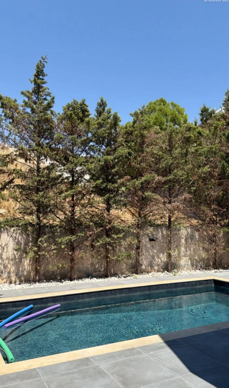 Renovated Villa with Pool in Agios Athanasios photo 1 of 8