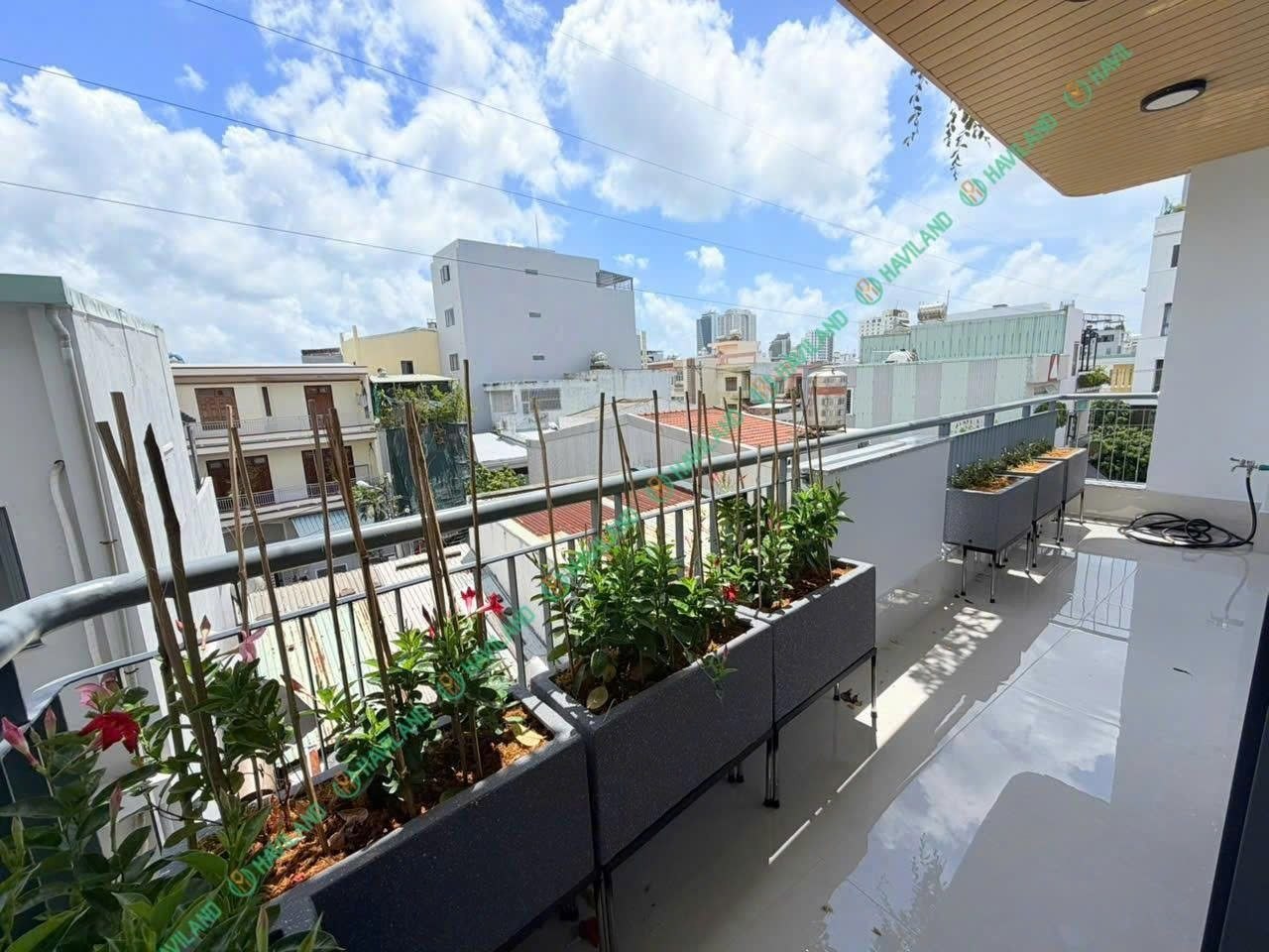 2-Bedroom Apartment in Son Tra photo 4 of 8