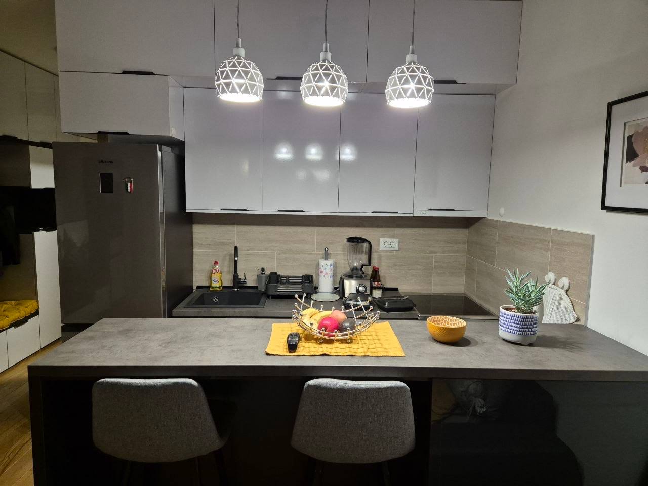 Studio Apartment in Wellport, New Belgrade photo 3 of 8