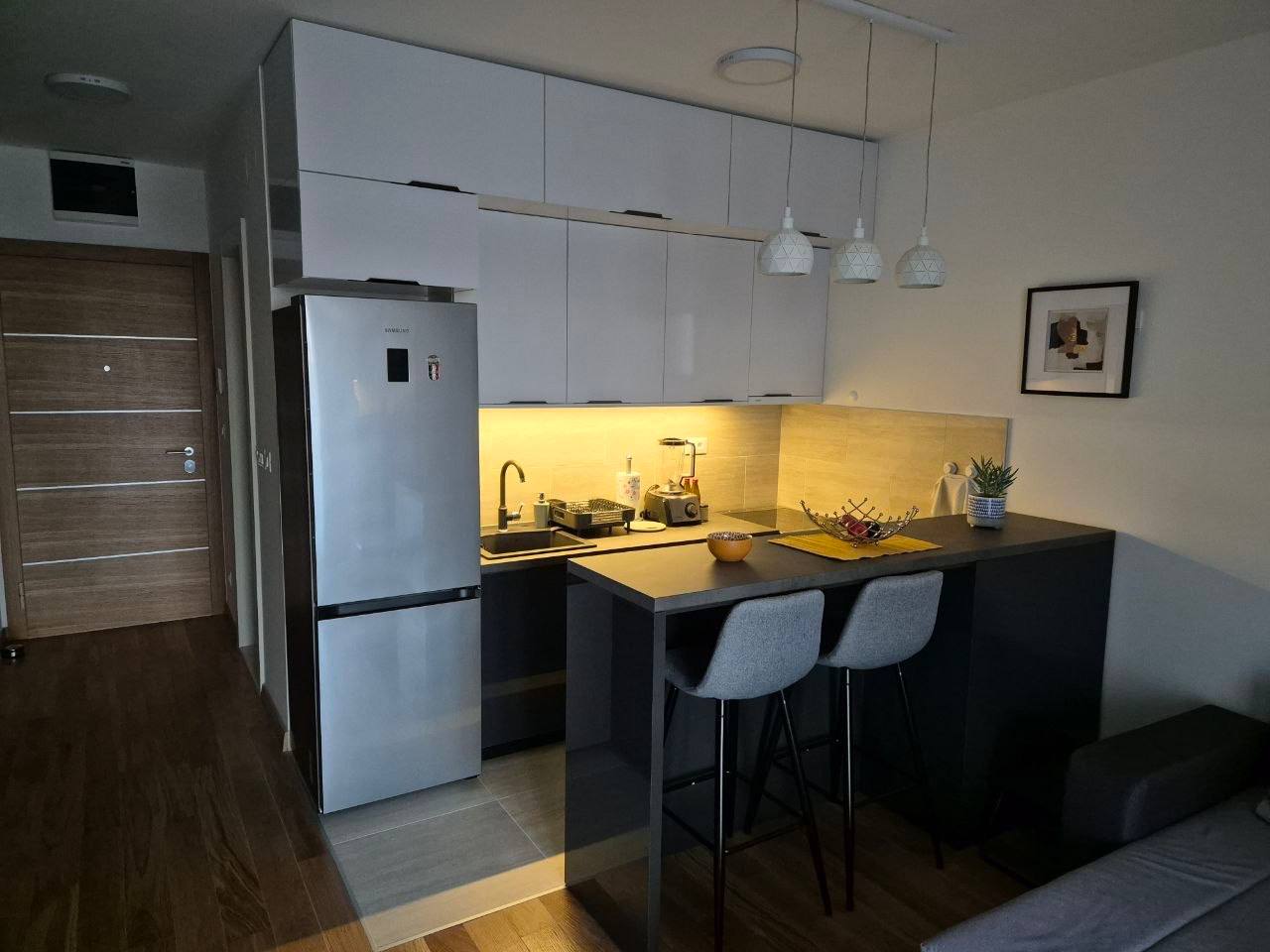 Studio Apartment in Wellport, New Belgrade photo 6 of 8