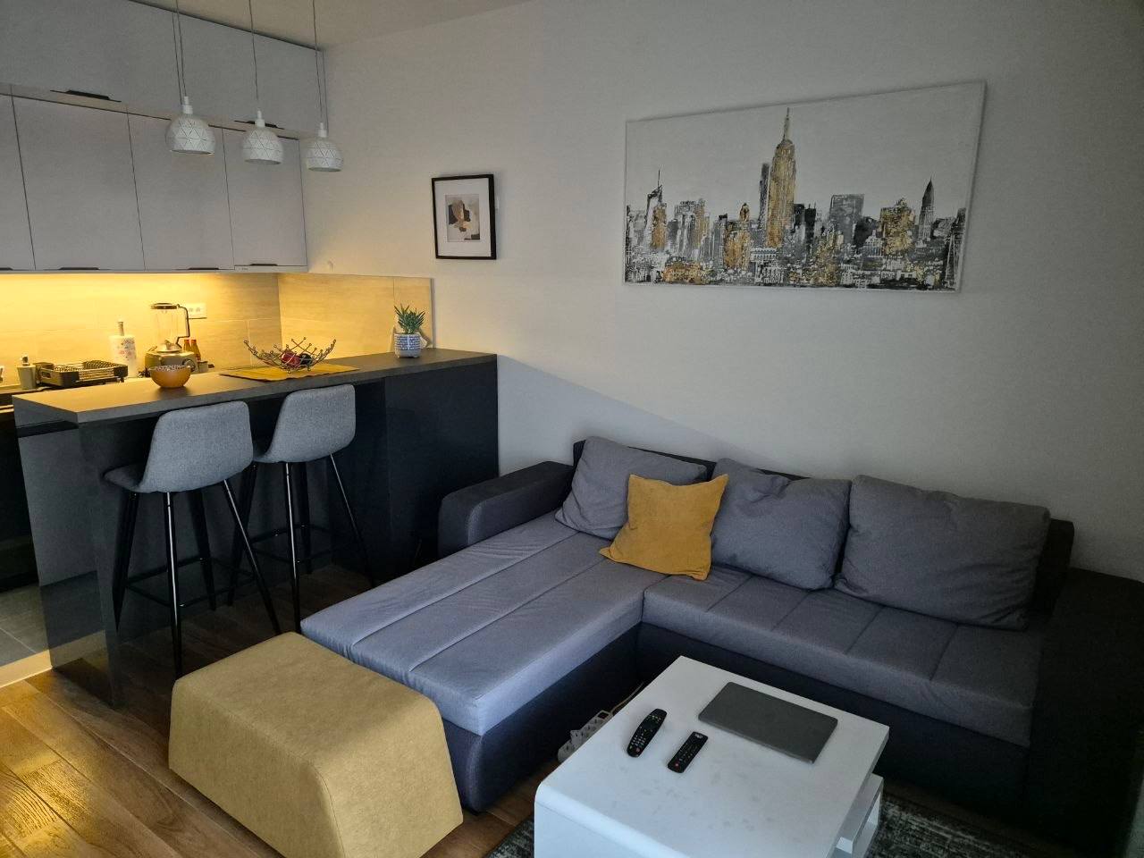 Studio Apartment in Wellport, New Belgrade photo 8 of 8