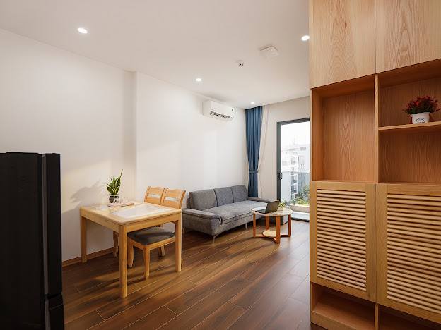 1-Bedroom Apartment in Khue My photo 3 of 8