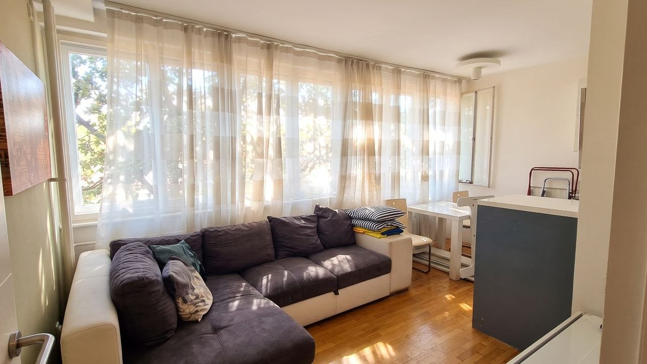 1.5-Room Apartment in Novi Beograd photo 6 of 6