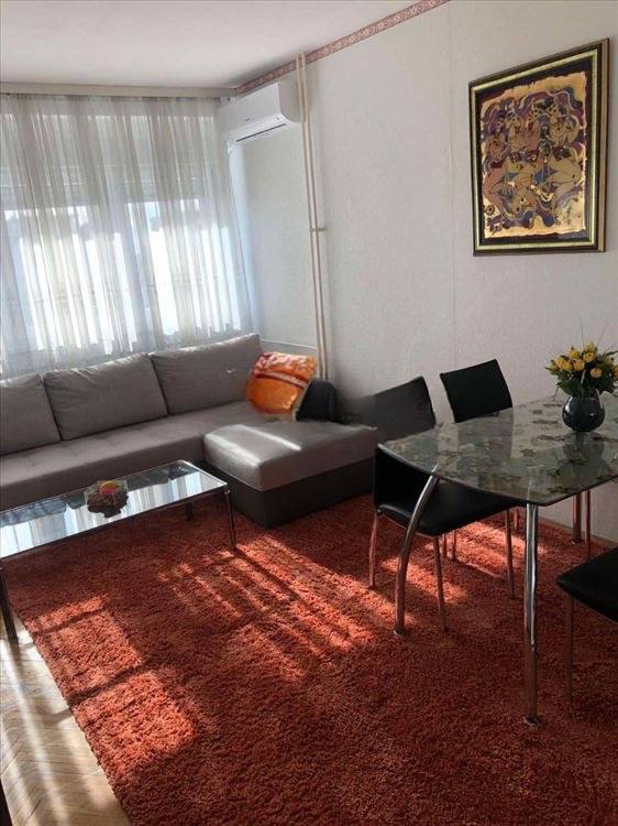 Furnished 1.5-Room Apartment in Palilula photo 3 of 8
