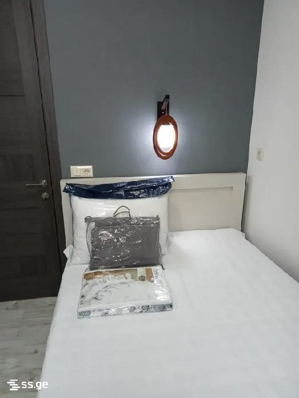 Furnished One-Bedroom Apartment in Isani photo 5 of 8