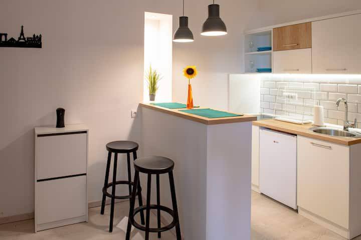 30 m² Studio Apartment in Belgrade photo 3 of 4