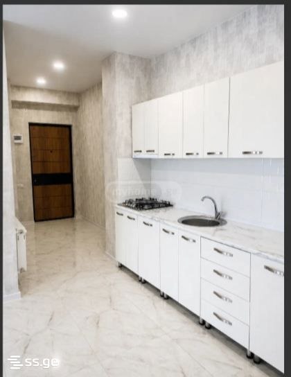 Two-Room Apartment for Rent in Didi Digomi photo 1 of 8
